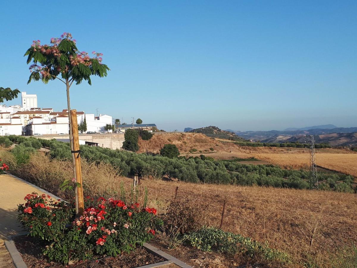 The Jasmine House Otel Olvera Dış mekan fotoğraf