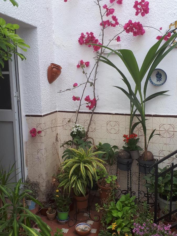 The Jasmine House Otel Olvera Dış mekan fotoğraf